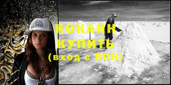 спиды Горняк