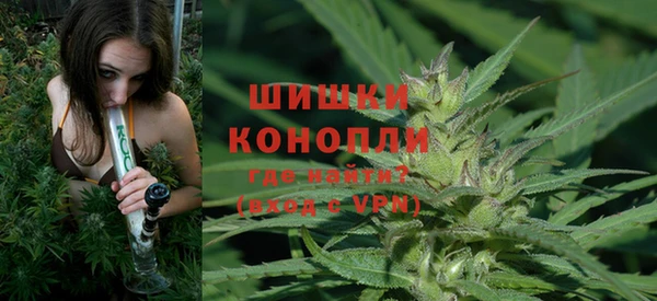 спиды Горняк