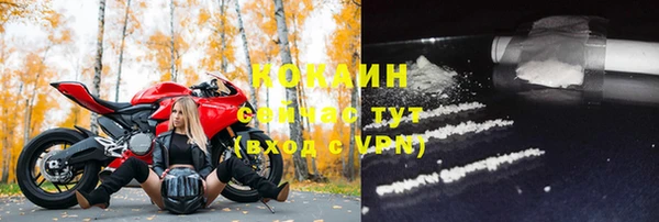 спиды Горняк