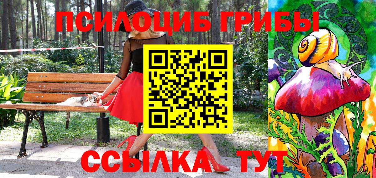 Псилоцибиновые грибы ЛСД  купить  цена  Можга  Вход с VPN 
