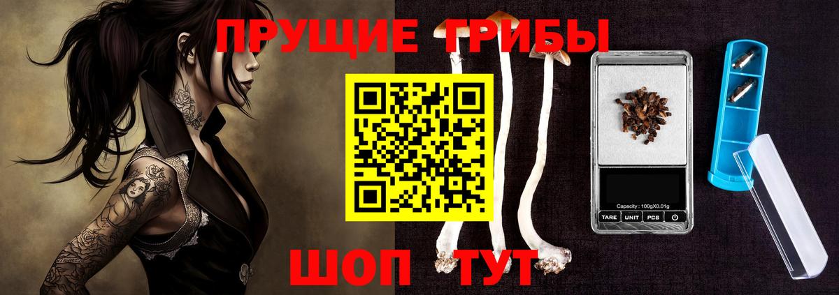 Галлюциногенные грибы мицелий  Псилоцибиновые грибы прущие грибы  Можга 